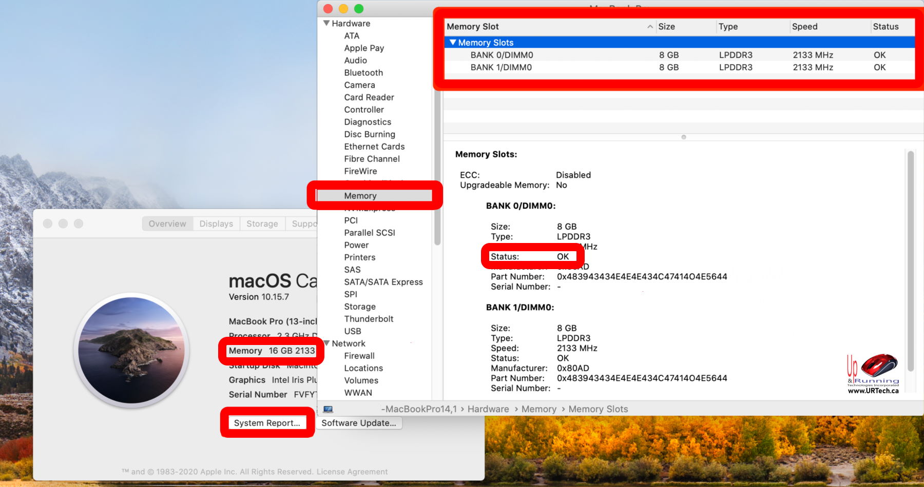 SOLVED How To Check The RAM On A Mac Up Running Technologies Tech 