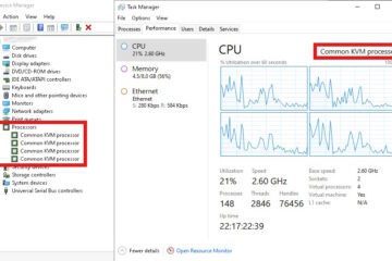 what is common kvm processor